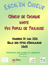 Affiche de concert